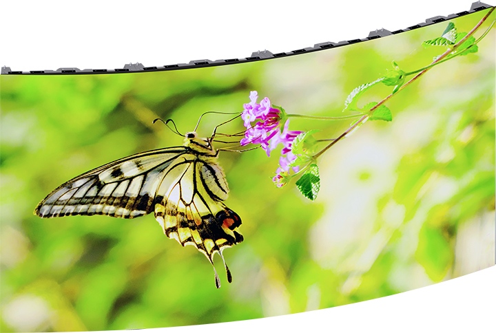 curve indoor led ekran